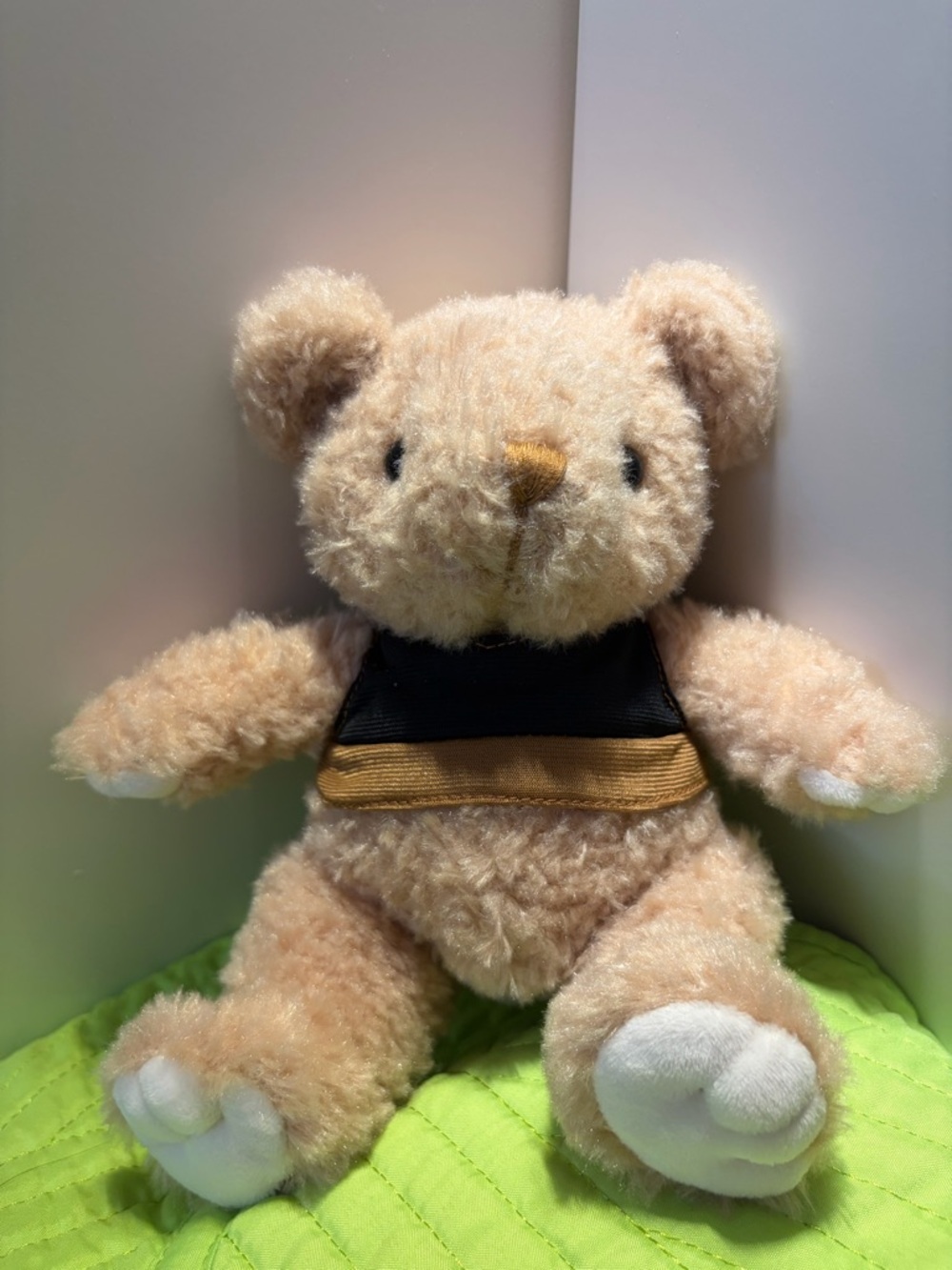 Plush Brown Teddy Bear with Shirt